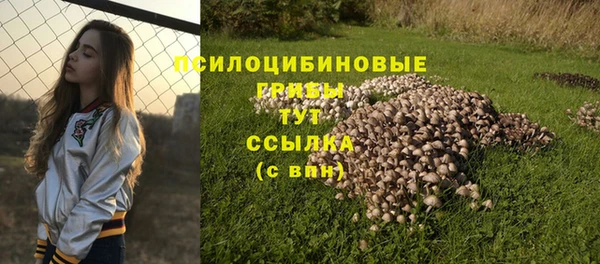 MESCALINE Инта