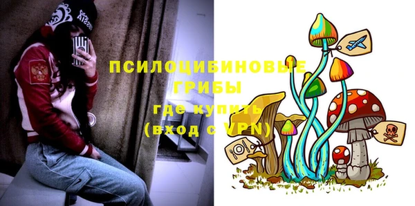MESCALINE Инта