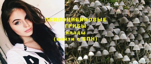 соль курить ск Каменногорск