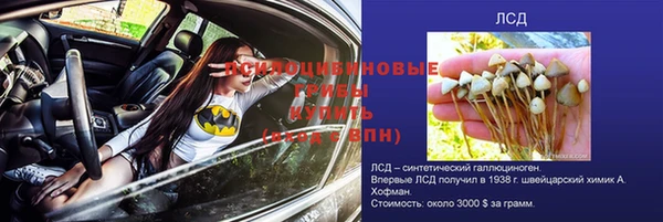 хмурый Иннополис