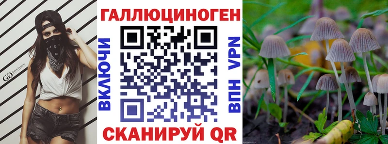 Купить где  Емва  Галлюциногенные грибы Psilocybine cubensis 